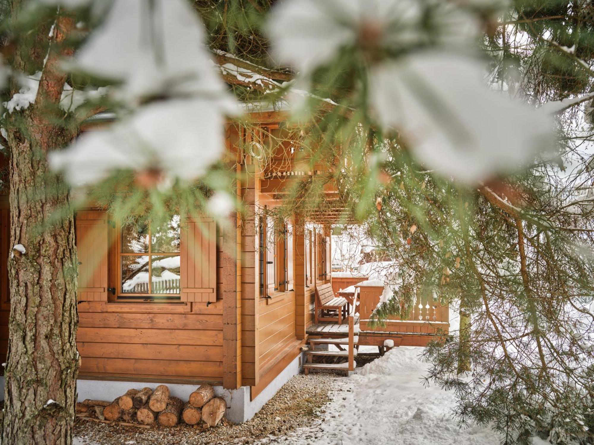 Alpenglueck Chalet Schladming - Dachstein By Aa Holiday Homes Санкт-Мартин-ам-Гримминг Экстерьер фото